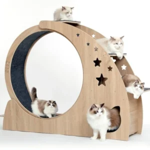 5-in-1 Cat Wheel