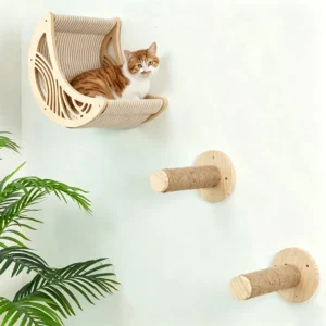 Activity Indoor Cats Wall Furniture