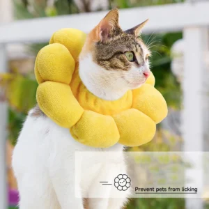 Sunflower Pet Elizabethan Collar