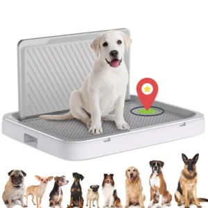 Portable Potty Tray with Pee Wall