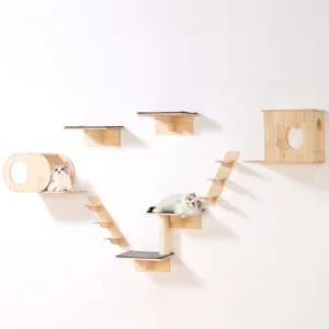 Wall Mounted Cat Shelves