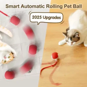 Smart cat balls