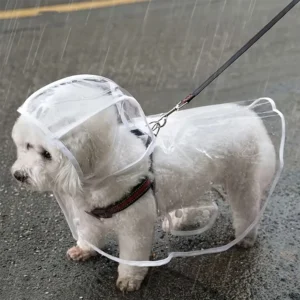 Transparent Waterproof Dog Raincoat