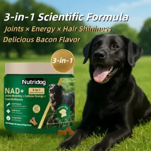 Senior Dog 3-in-1 Vitamin Chews