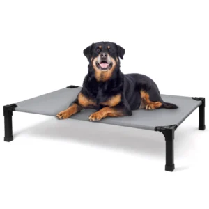 Cooling Raised Pet